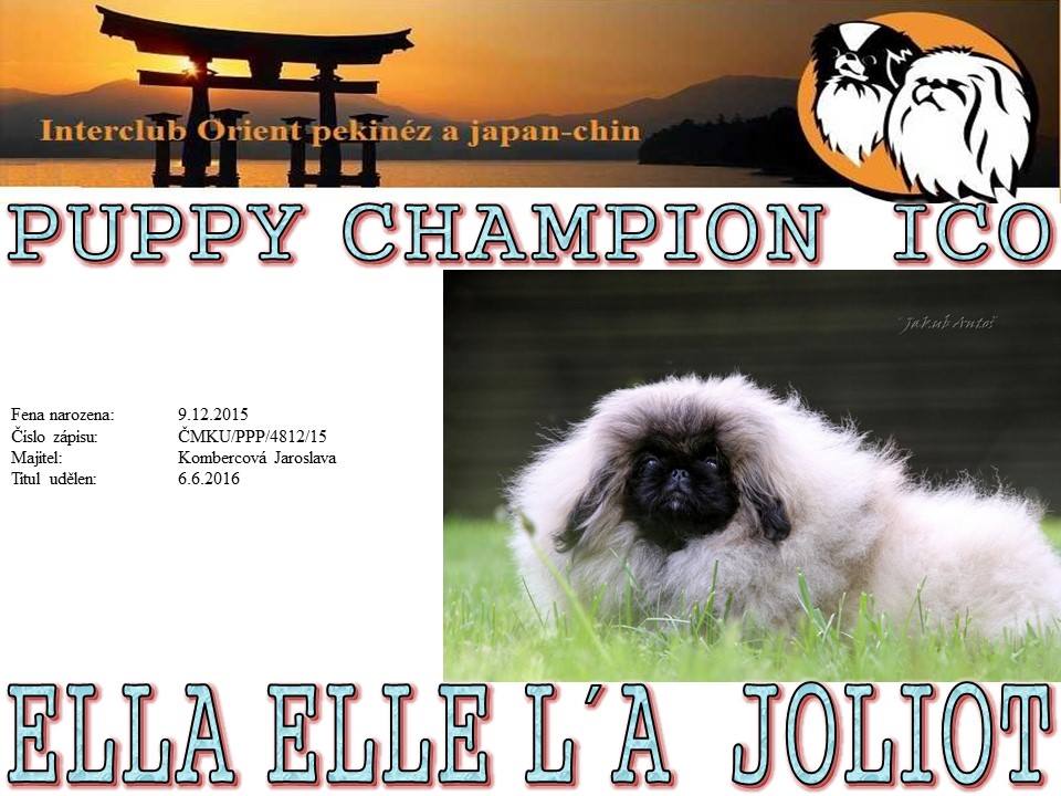 Puppy Champion ICO - Ella Elle l´A Joliot