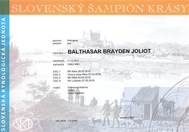 CH SK - Balthasar Brayden Joliot